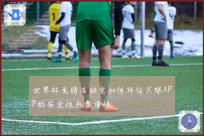 世界杯竞猜活动中如何评估买球APP的安全性和靠谱性