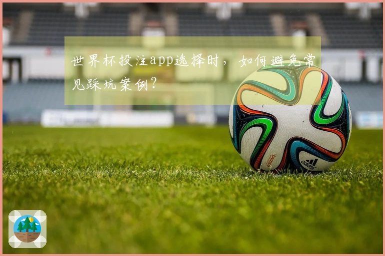 世界杯投注app选择时,如何避免常见踩坑案例?