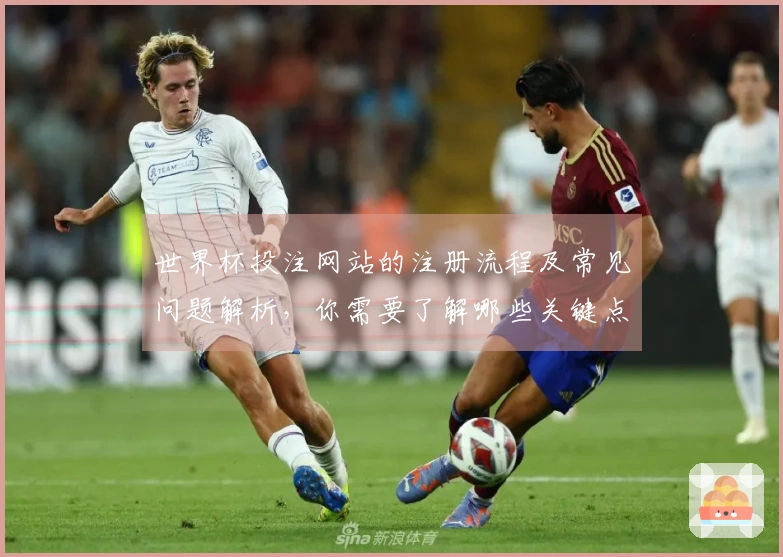 世界杯投注网站的注册流程及常见问题解析，你需要了解哪些关键点？