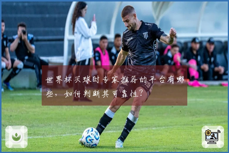 世界杯买球时专家推荐的平台有哪些，如何判断其可靠性？