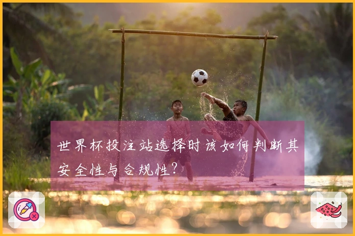 世界杯投注站选择时该如何判断其安全性与合规性？