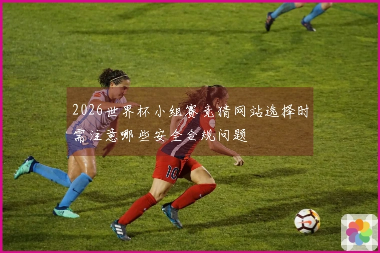 2026世界杯小组赛竞猜网站选择时需注意哪些安全合规问题
