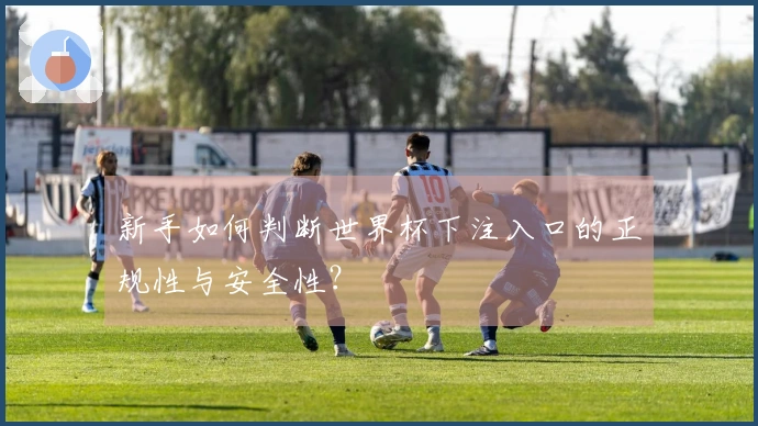 新手如何判断世界杯下注入口的正规性与安全性？