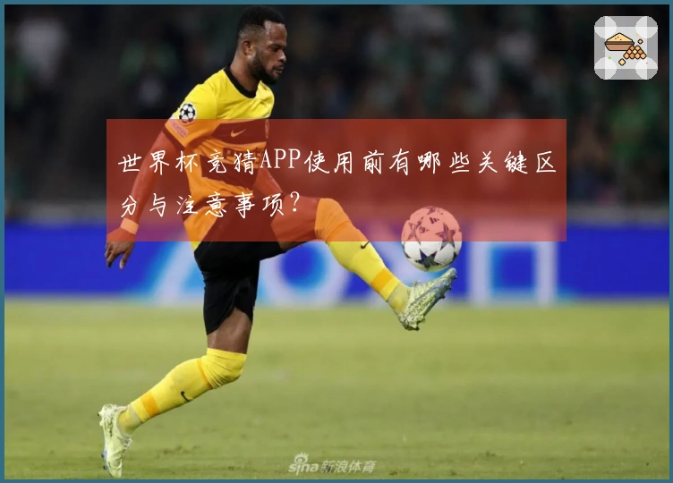 世界杯竞猜APP使用前有哪些关键区分与注意事项？