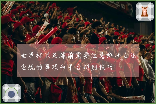 世界杯买足球前需要注意哪些合法合规的事项和平台辨别技巧