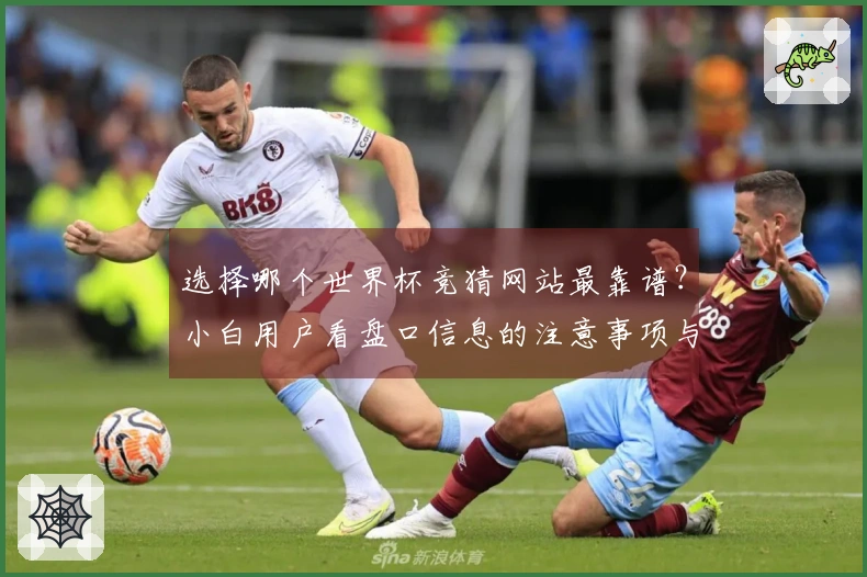 选择哪个世界杯竞猜网站最靠谱？小白用户看盘口信息的注意事项与技巧