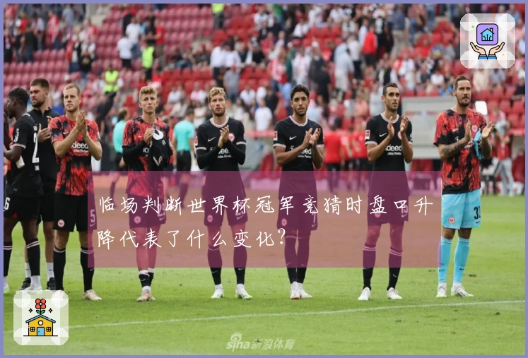 临场判断世界杯冠军竞猜时盘口升降代表了什么变化？