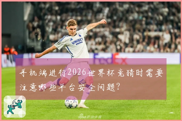 手机端进行2026世界杯竞猜时需要注意哪些平台安全问题？