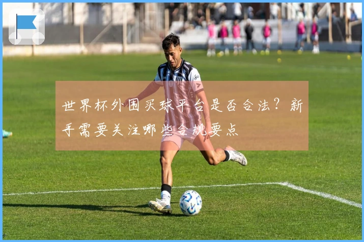 世界杯外围买球平台是否合法？新手需要关注哪些合规要点